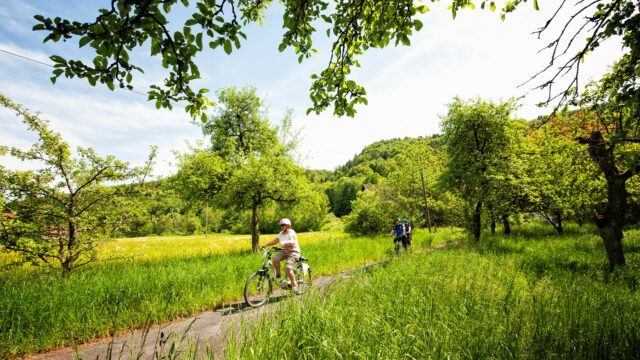 Radfahren in Wiesenttal