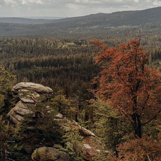 Aussicht vom Rudolfstein im Fichtelgebirge