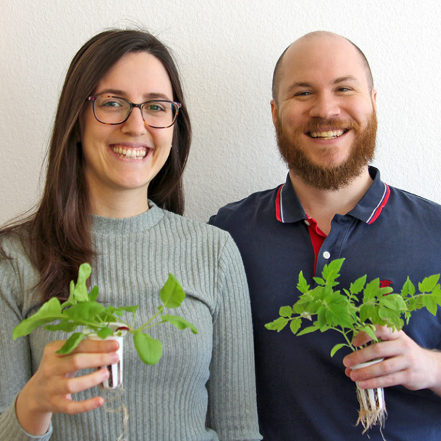 Das Bayreuther Start-Up Myriad will mit einem autonomen Indoor-Garten künftig jedem den Traum von eigenangebautem Gemüse erfüllen