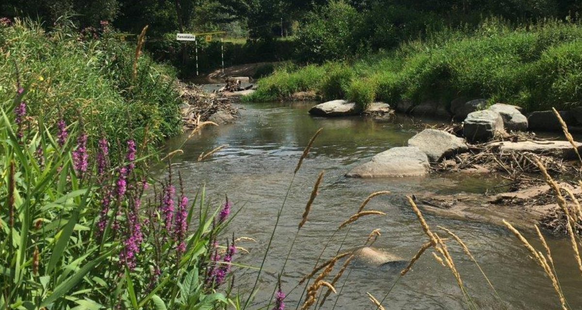 Flussbetts des Roten Mains in der Wilhelminenaue.