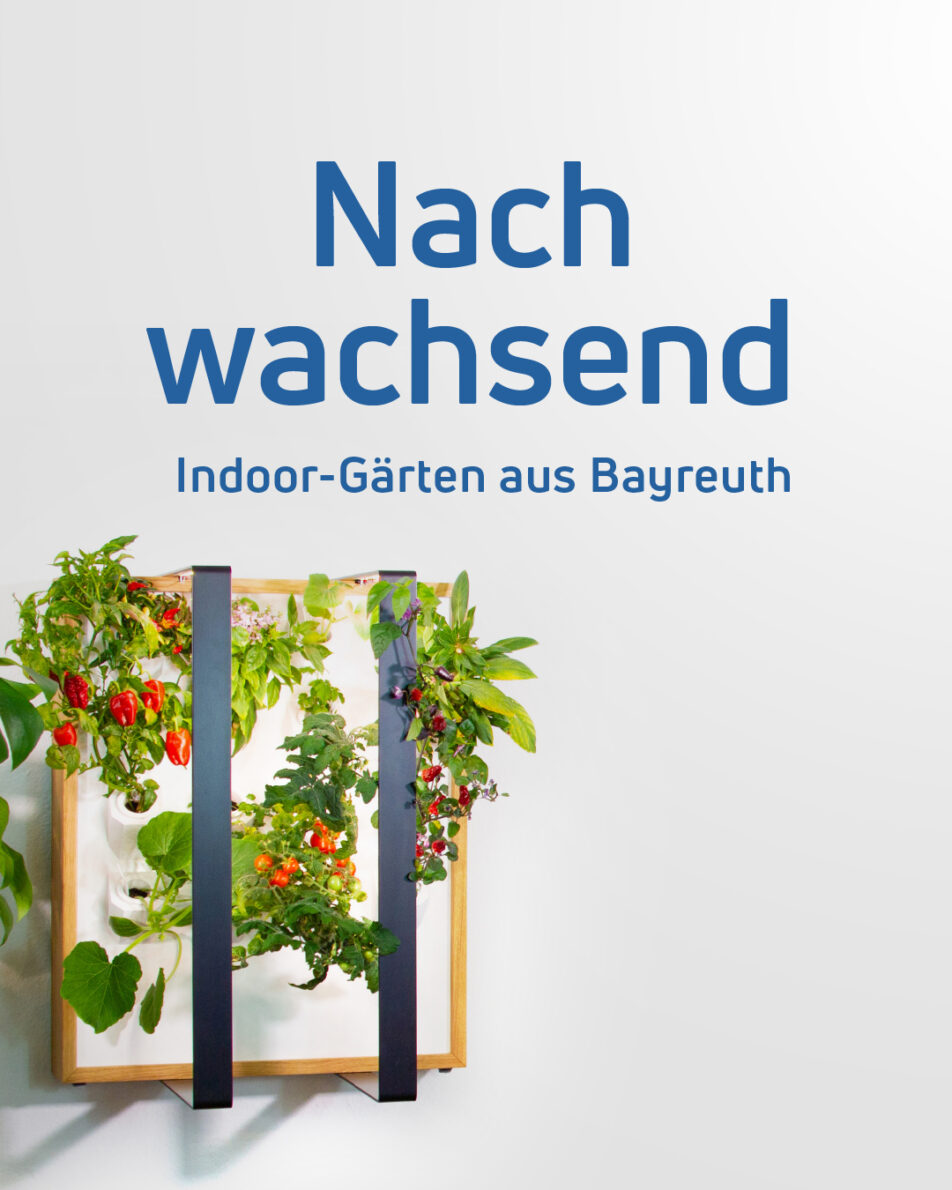 Plakat mit dem Titel Nachwachsend: Indoor Gärten aus Bayreuth und einen Pflanzwand